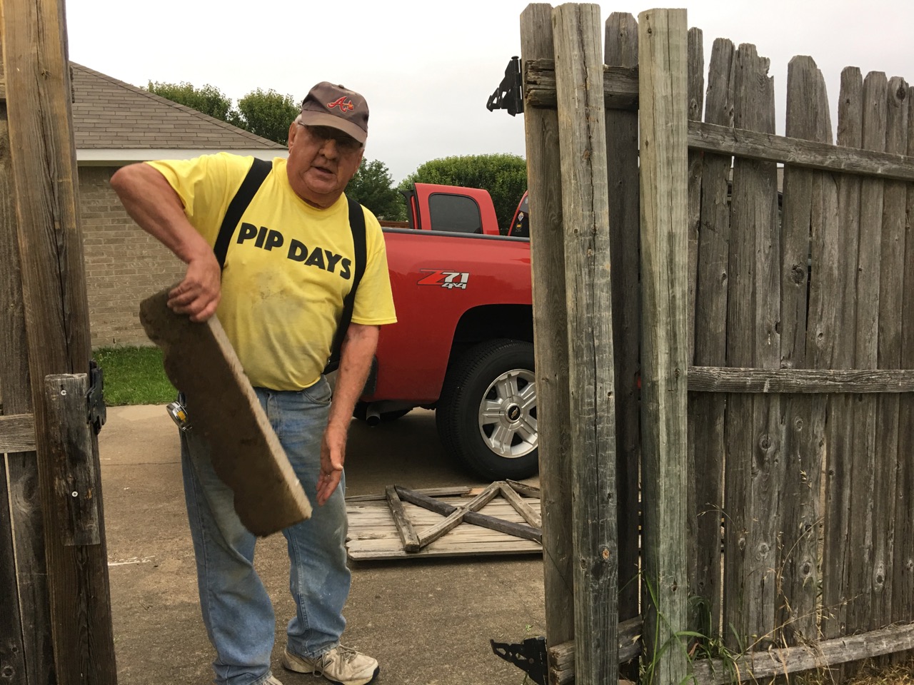 PIP Days - 2017